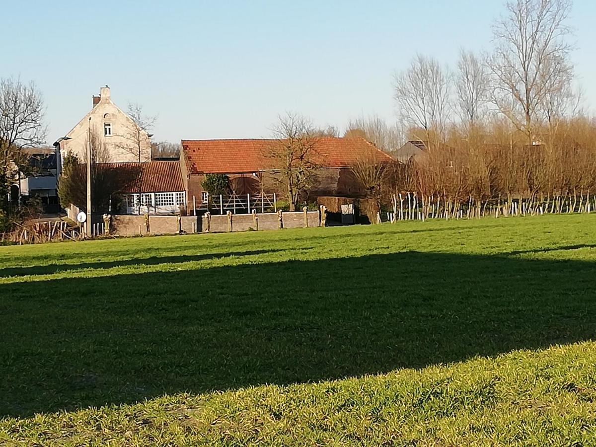 Hofstede Ter Biest Bed & Breakfast Zwalm Eksteriør bilde